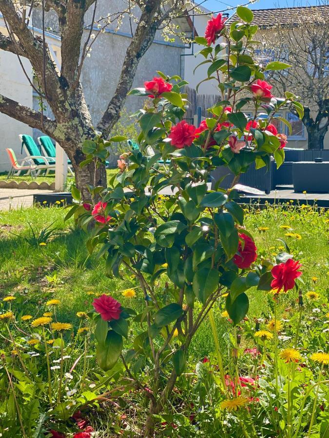 L'Escapade Perigourdine, Wifi, Parking, Netflix, Piscine Villa Coulounieix-Chamiers Dış mekan fotoğraf